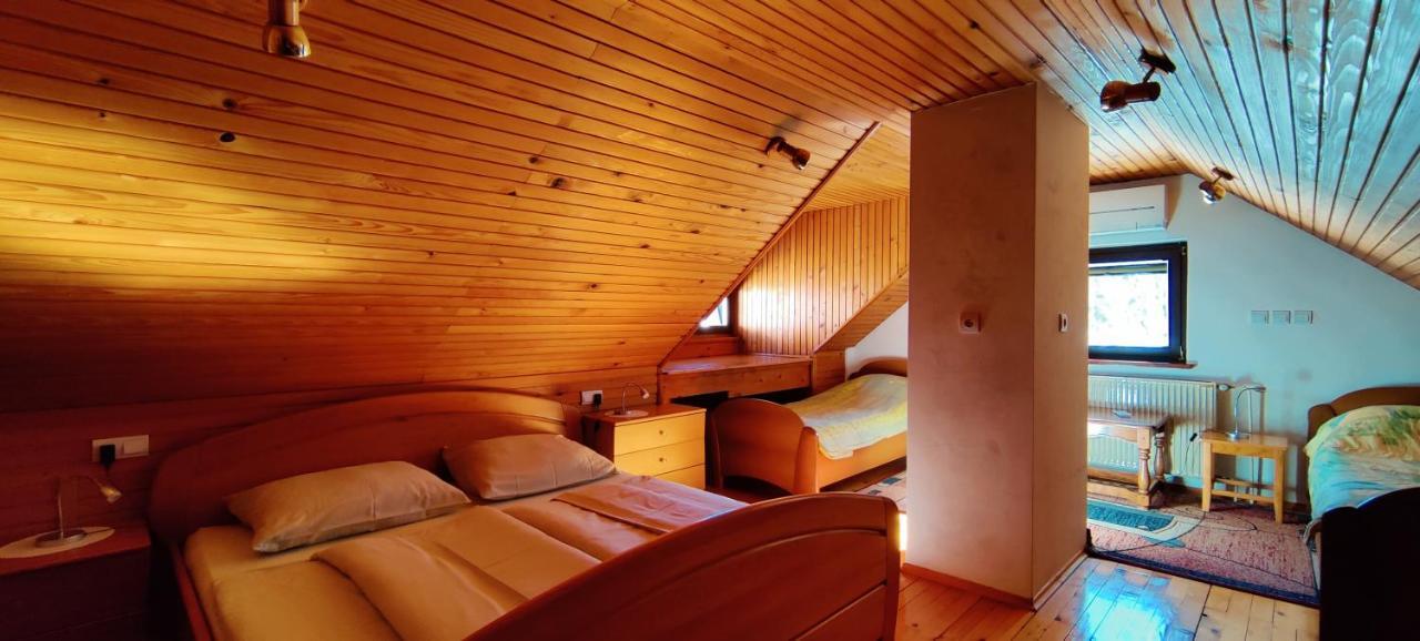 Guesthouse Pri Zalogarju Zelezniki 外观 照片
